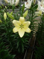 [5067 Gerritzalm No01.JPG]